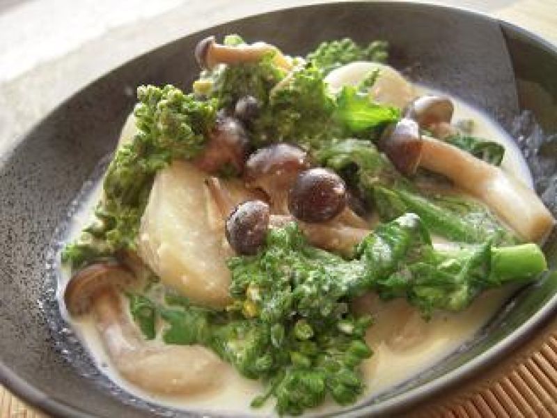 しめじと春野菜のクリーム煮