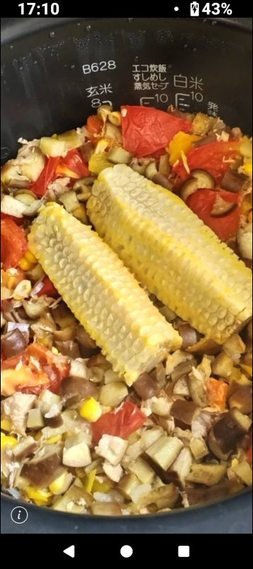 夏野菜きのこ炊き込みご飯