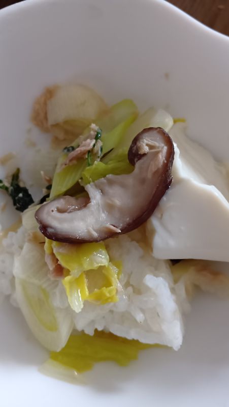 胃腸に優しい粥