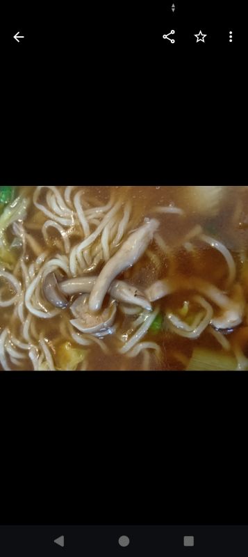 春野菜オイスター麺