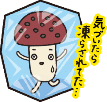 気付いたら凍らされてた