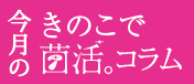 今月のきのこで菌活