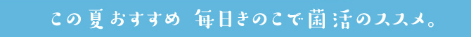 この夏おすすめ 毎日きのこで菌活のススメ。