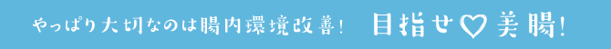 やっぱり大切なのは腸内環境改善！目指せ  美腸！