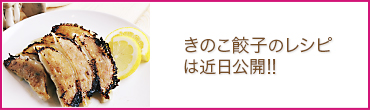 きのこ餃子のレシピは近日公開！！