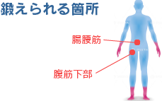 鍛えられる箇所