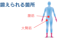 鍛えられる箇所