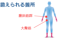 鍛えられる箇所