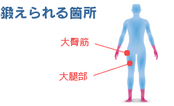 鍛えられる箇所