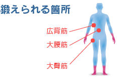 鍛えられる箇所