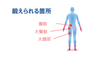 鍛えられる箇所