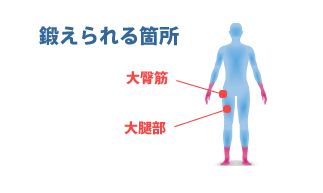 鍛えられる箇所