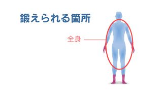 鍛えられる箇所