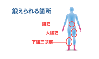 鍛えられる箇所