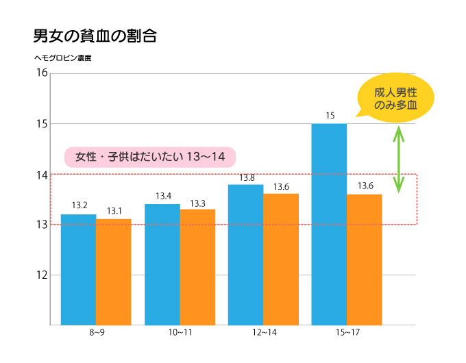 男女の貧血の割合