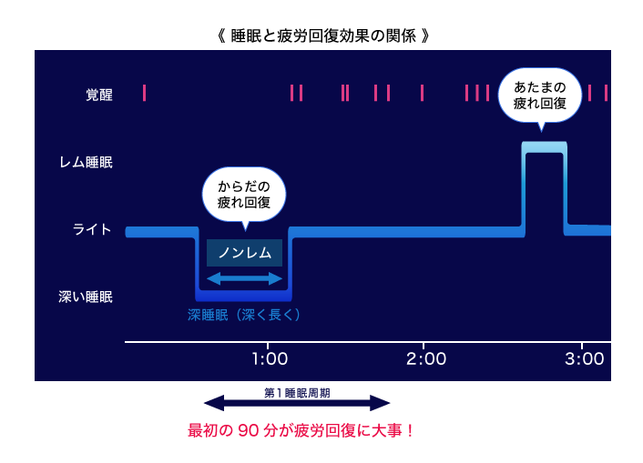 睡眠と疲労回復効果の関係