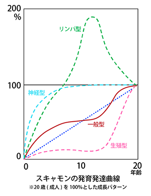 スキャモンの発育発達曲線