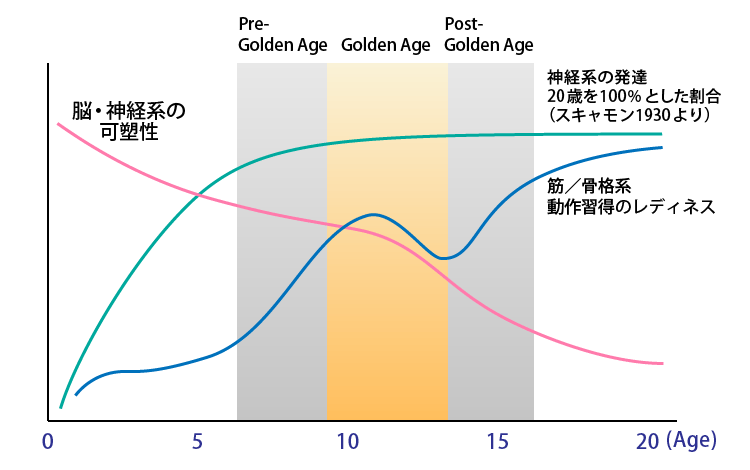 発達発育からみたゴールデンエイジの概念