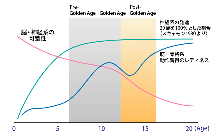 「ポストゴールデンエイジ」に気をつけたい「クラムジー」