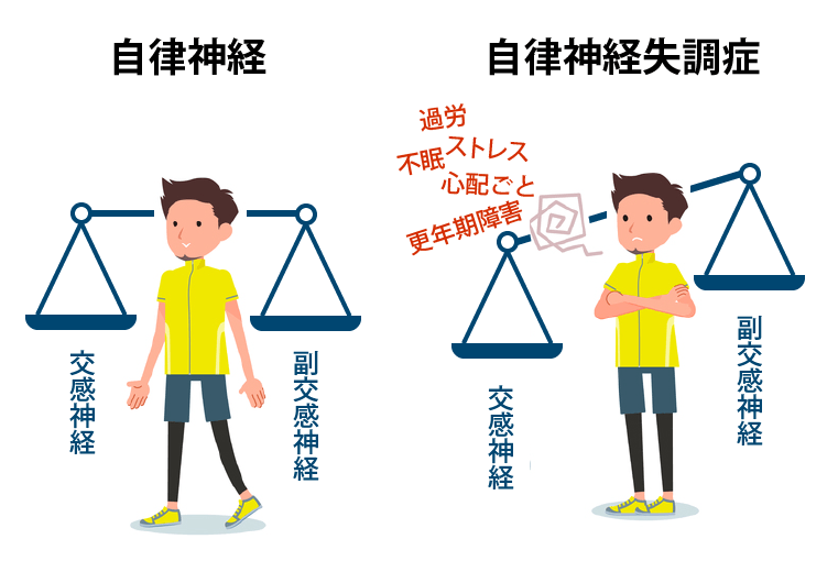 自律神経のバランスの乱れ