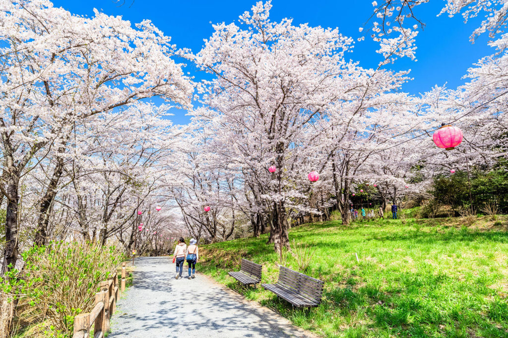 【卯月 -April-】4月の特集まとめ