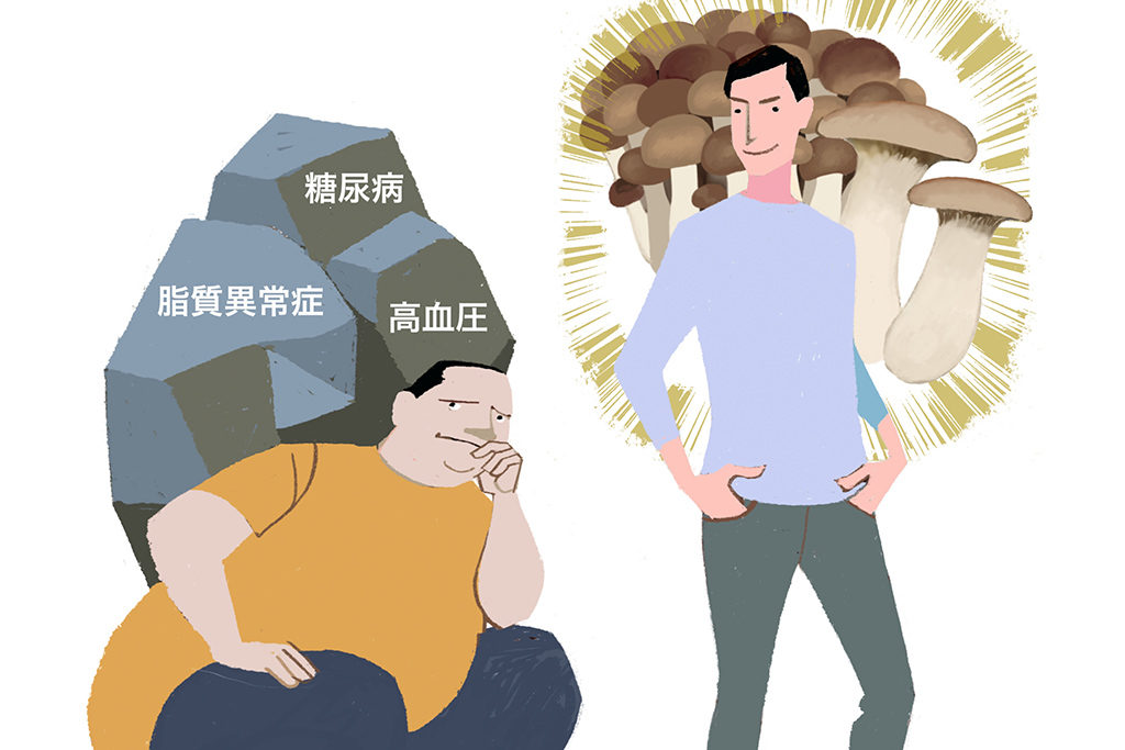 歴史が育んだ、きのこの効果と人体の秘密<br>第8回 腸を整え、病から守る。きのこは健康のパートナー