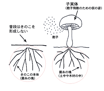 記事のイメージ