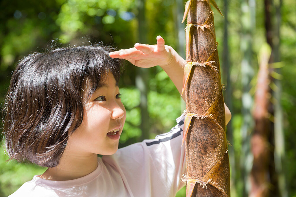 保護者のお悩みNo.1！思春期の心と体の成長の特徴とは？