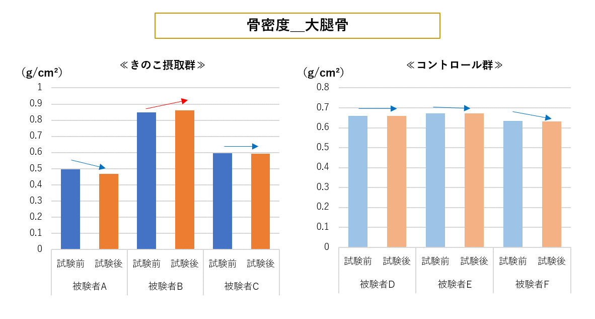 前屈の記録の変化