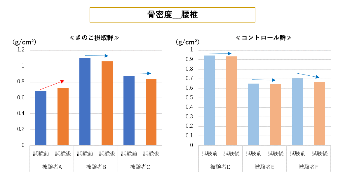 前屈の記録の変化