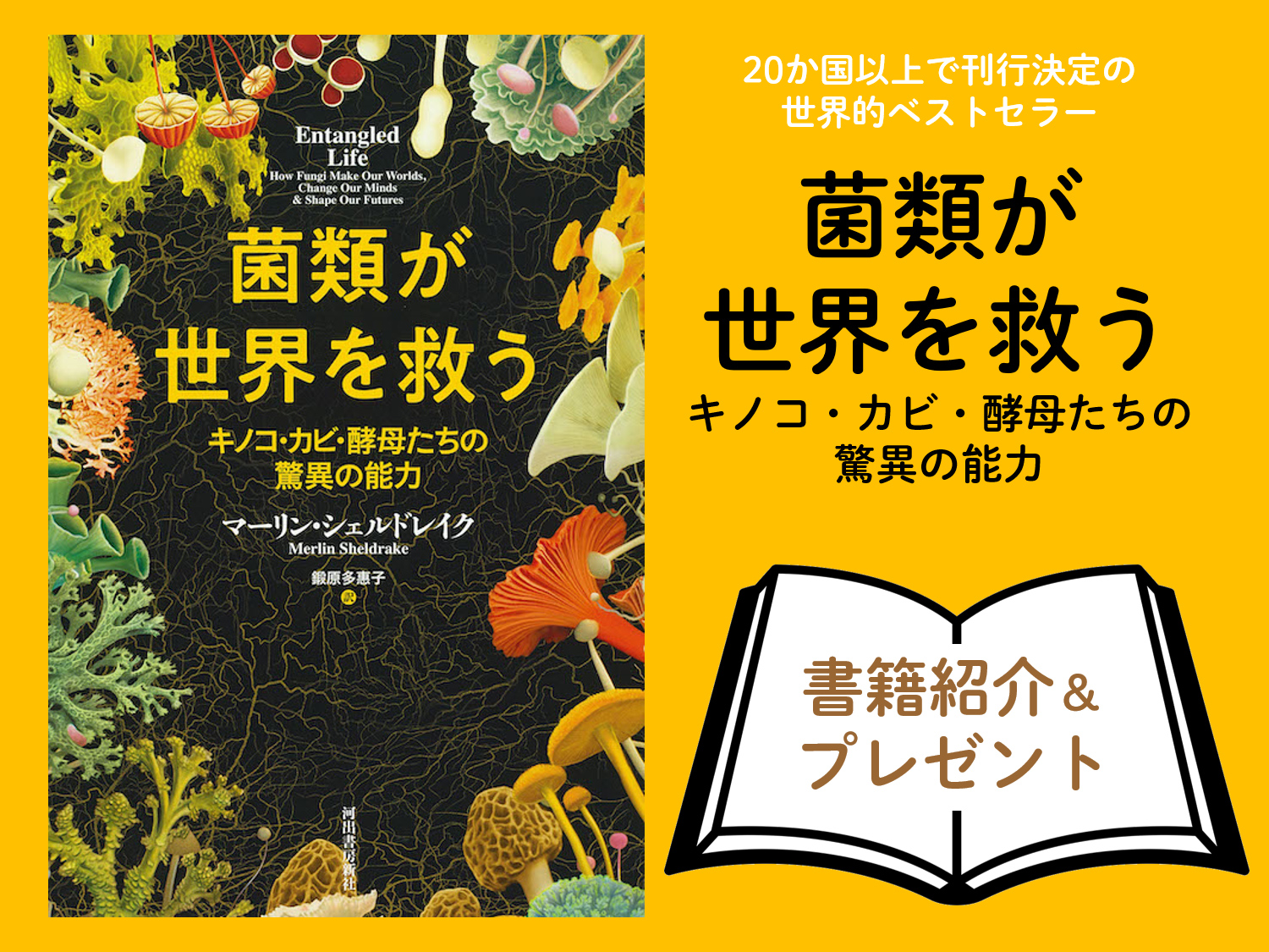 菌類が世界を救う 書籍紹介 プレゼント きのこらぼ