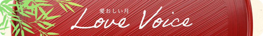 Love Voice