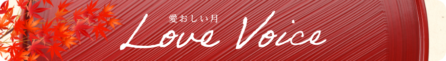 Love Voice