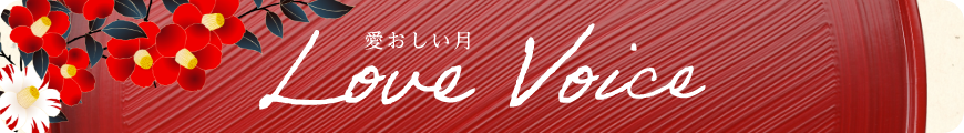 Love Voice