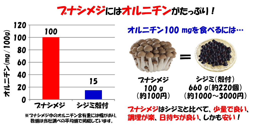 オルニチン換算