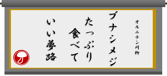 オルニチン川柳！