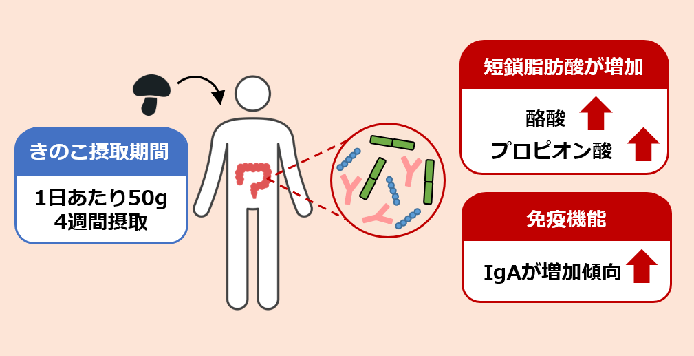 オルニチン換算