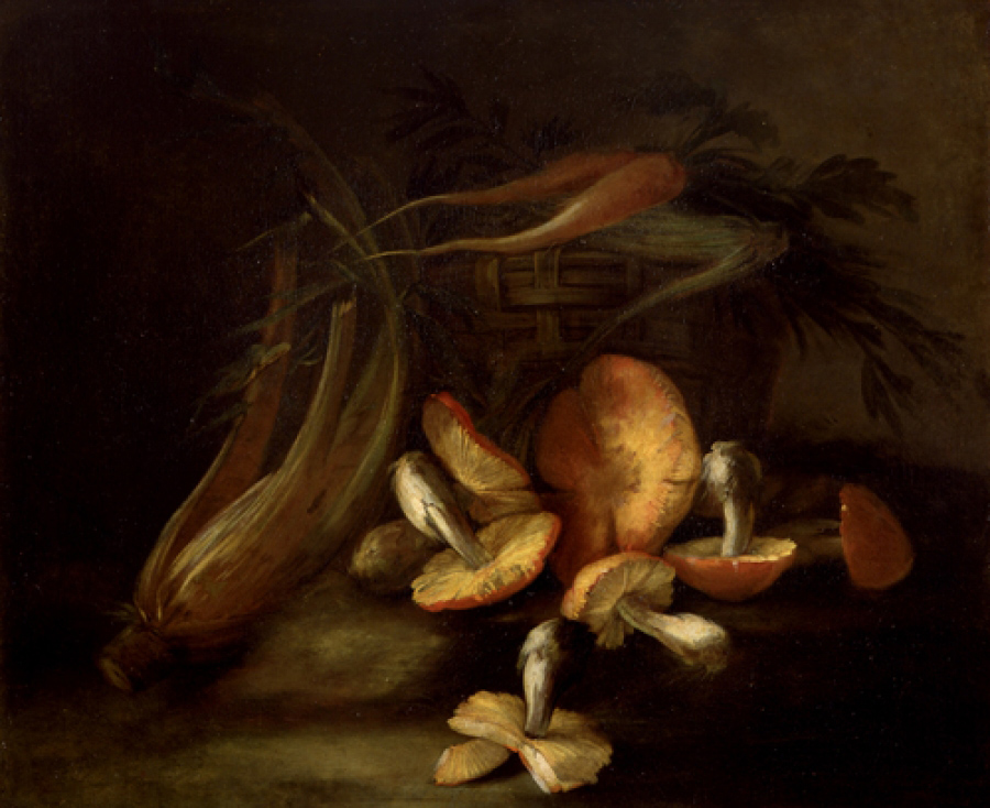 17～18世紀頃にイタリアの画家 Nicola van Houbraken が描いたきのこの静物画