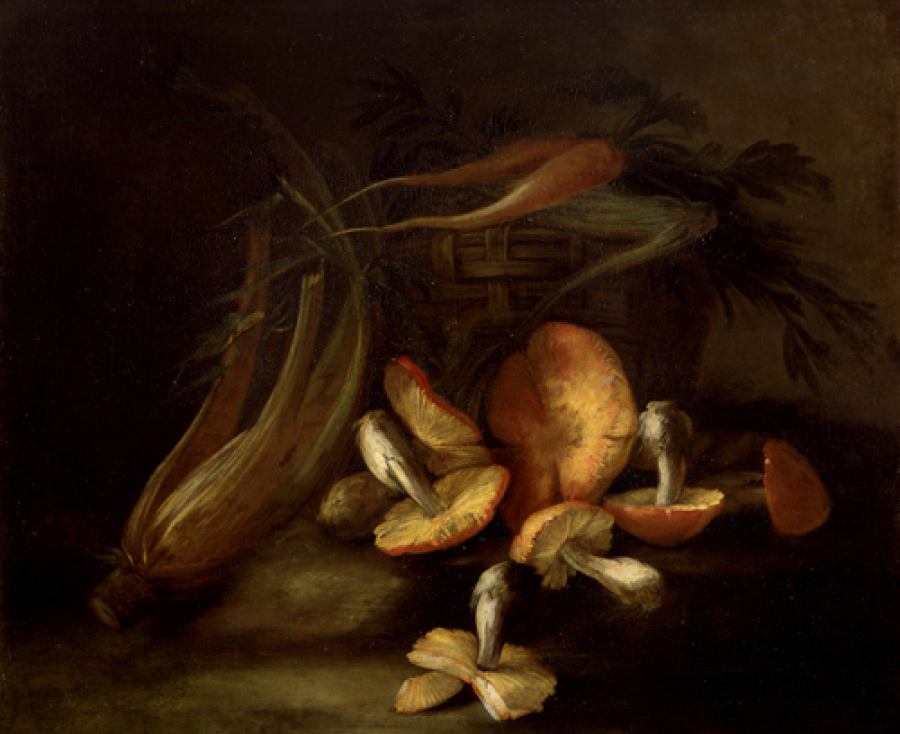 17~18世紀頃にイタリアの画家 Nicola van Houbraken が描いたきのこの静物画