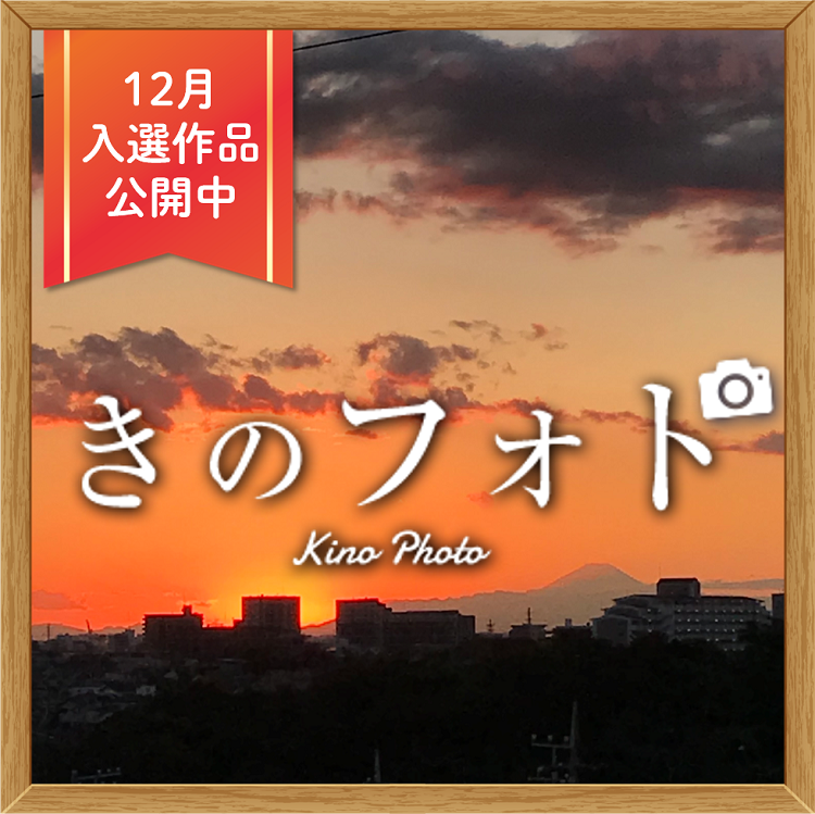 【きのフォト】12月の入選作品発表！