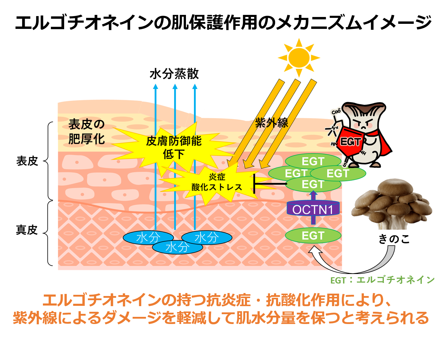 研究日誌004