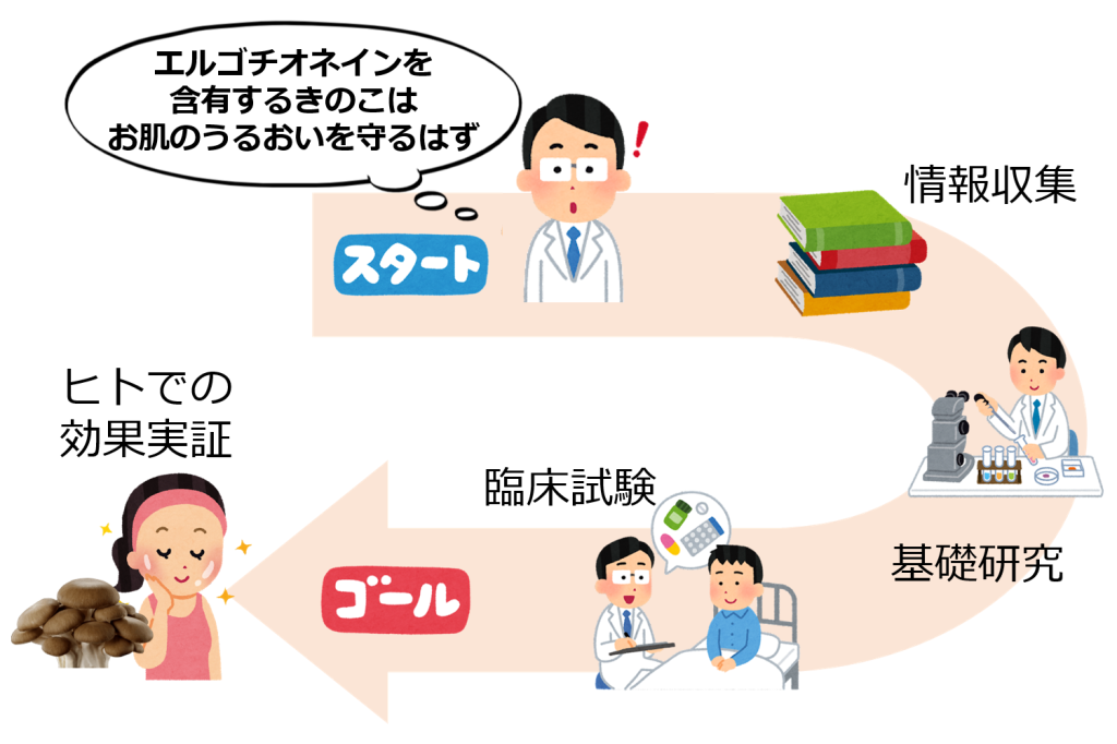 エルゴチオネインが肌のうるおいを守る！最新の研究結果と軌跡