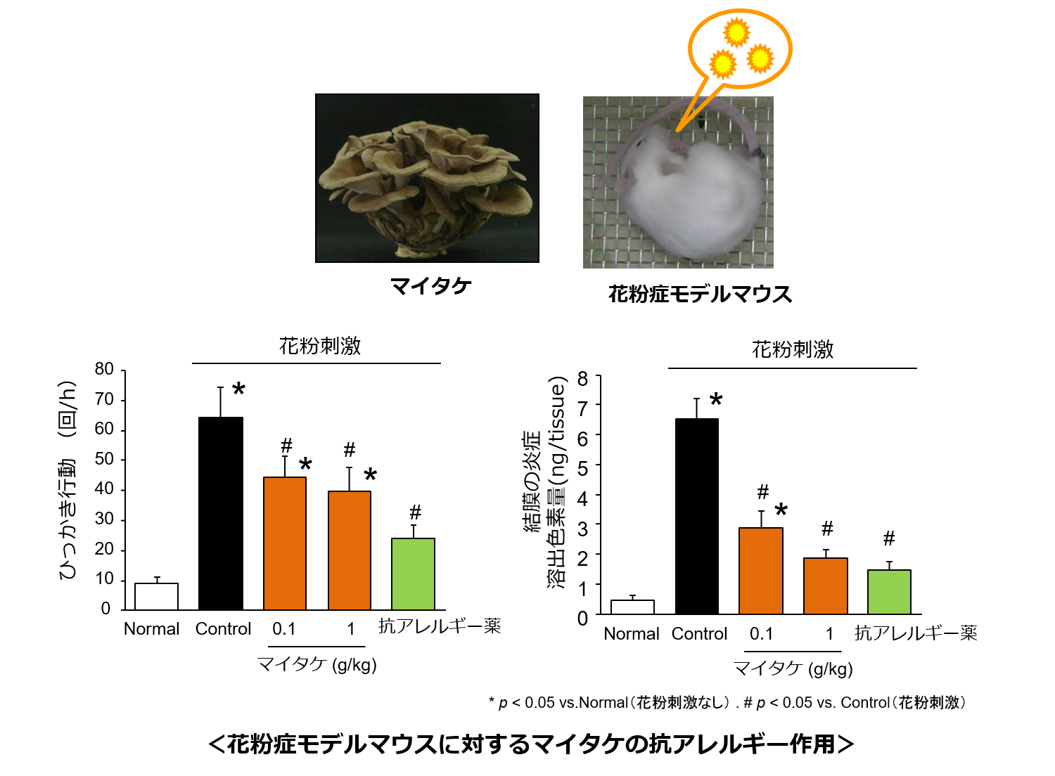 研究日誌002