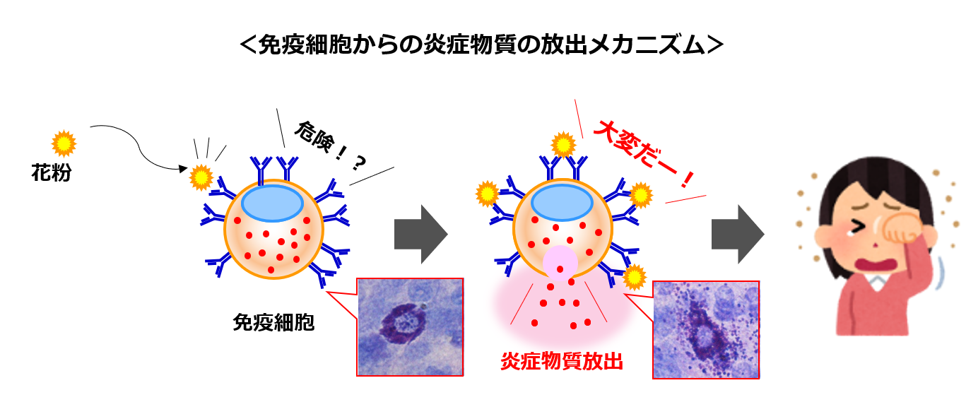 研究日誌003