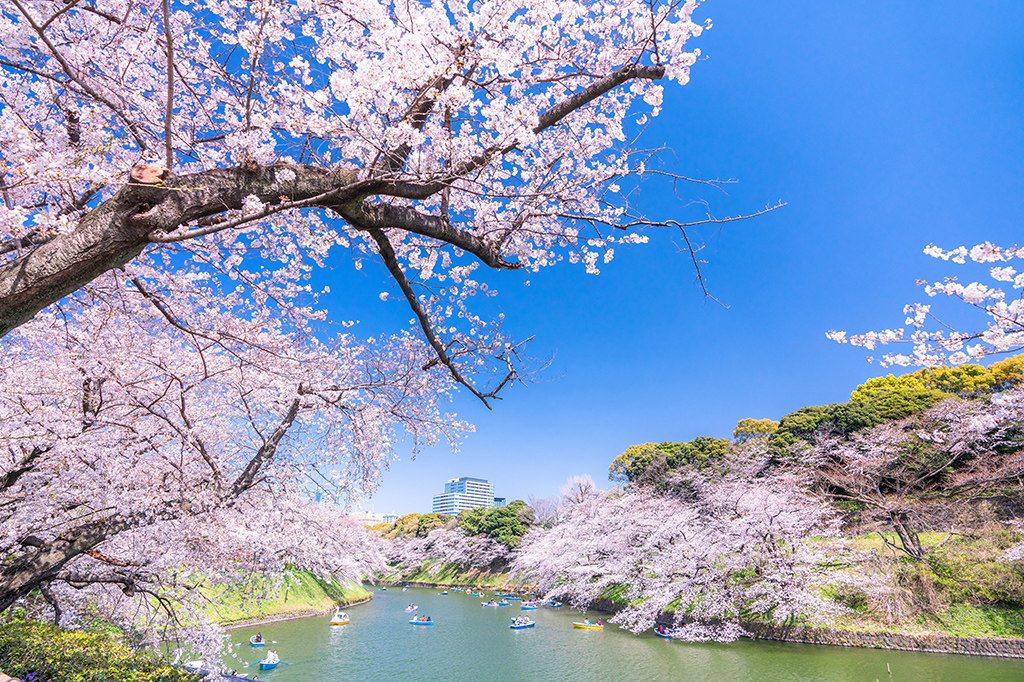 春の訪れと始まりの季節を彩る年代別春ソング