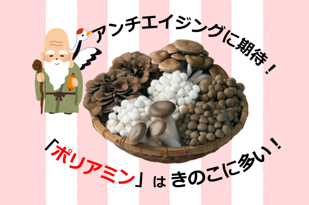 きのこに多い「ポリアミン」とは？健康長寿に関連する論文をご紹介！