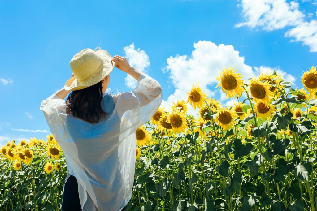 夏をさらにアクティブに！世代別夏のエナジーソング
