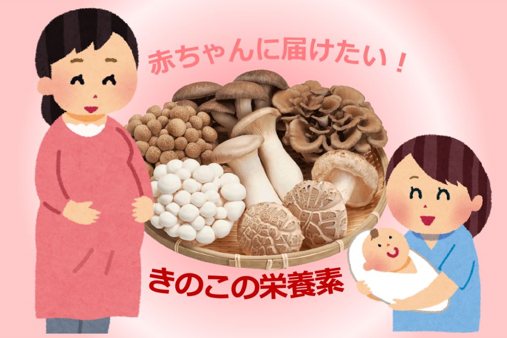 赤ちゃんに届けたい！妊活中・妊娠中の女性が摂りたいきのこの栄養素