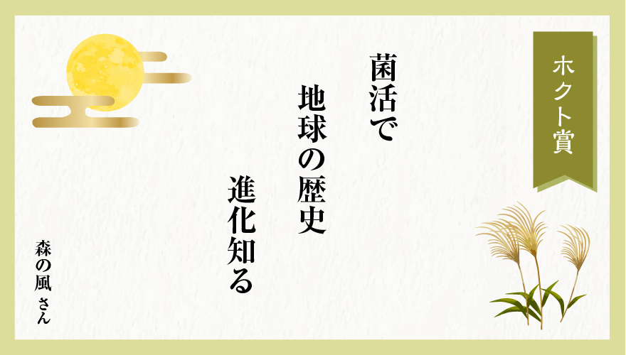 2024年夏 四半期ホクト賞