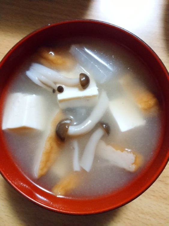 写真：Ｃ・Ｎ（熊本県）の菌活の様子